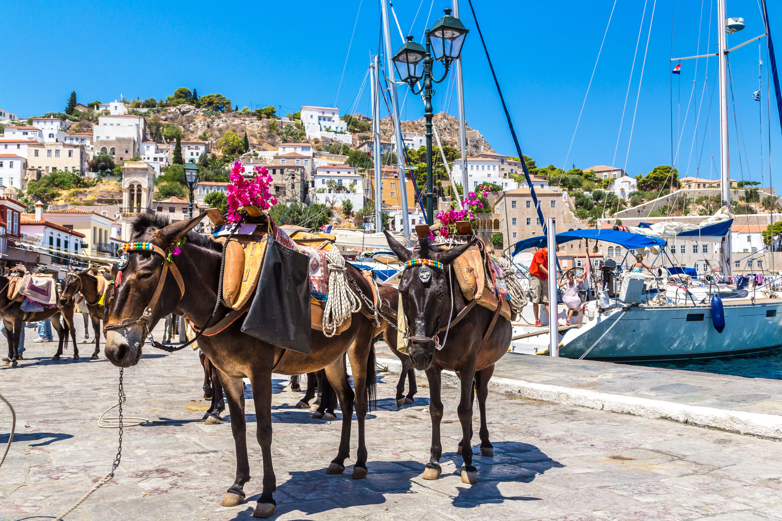 One Day Cruise to Hydra – Poros – Aegina